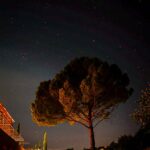 66773536-d7bd-4a79-bad3-fb505db64f5d