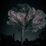 6c14f7b4-cd44-4f6b-bbc4-03860e3e04ee