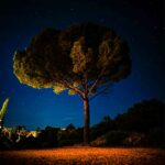 de3ca263-ca7e-4526-ae1d-cad564969841